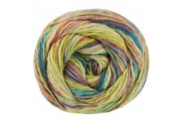 Gomitolo California 3043